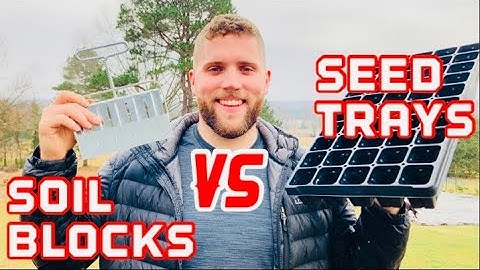 Soil Blocks Vs Seedling Trays