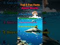 Sharks are basicaly living prehstoric monsters🦈#sharkfacts #oceanfacts #wildlife #funfacts #shorts