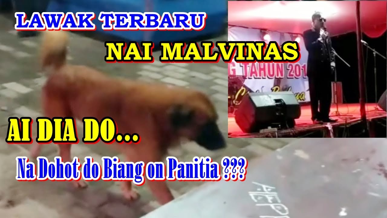 Lawak Terbaru  Nai Malvinas || Na Dohot do Biang on Panitia ???