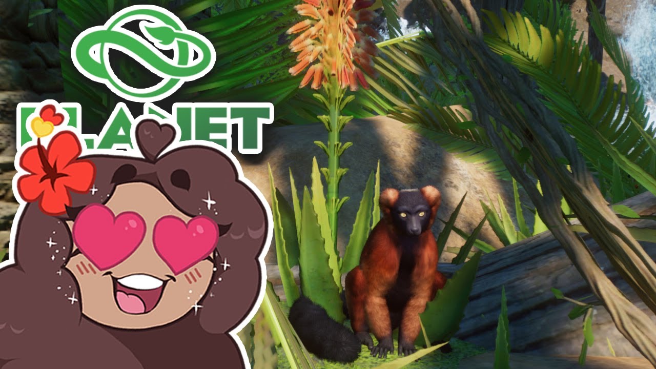 A Forest of Red-Ruffed LEMURS!! 🐼 Zoodesia Zoo • #78