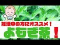 妊活中にオススメのお茶！よもぎ茶！何が妊活に良いのか解説していきます♪