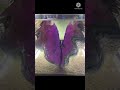 Went To Aquarium (Part 8)- Photos #Vlog