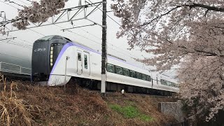 中央本線特急かいじ23号甲府行きE353系3123MS106長モトがJR勝沼ぶどう郷駅下り1番線をミュージックホーンを奏でながら通過♪♬甚六桜公園の満開の桜の花々、EF64 18電気機関車!