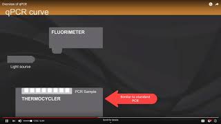 Overview of qPCR