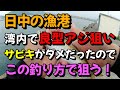 日中の漁港の湾内で良型アジ狙い、サビキ釣りがダメだったのでこの釣り方で狙う（仕掛け解説あり）