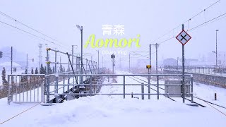 일본 아오모리(青森) 겨울 여행 | 눈이다!!! 눈!눈!눈!❄️  | 시장에서 골라먹는 놋케동 (회덮밥), 향토음식 이자카야, 네부타, 토호쿠(東北) 이스트패스(EAST PASS) screenshot 2