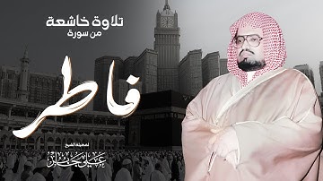 صوت يأخذك إلى عالم من السكينة والهدوء الشيخ علي جابر | سورة فاطر كاملة