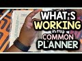 Common planner flip through  january 2024