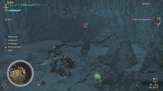 MH Wilds Hirabami Hunt