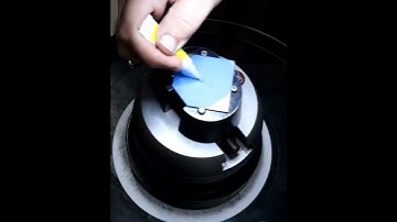 So much promise in a new beginning, and I