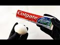 EGG in TOOTHPASTE For 100 Days - EXPERIMENT