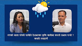 गएको साता परेको पानीले देशभरका कृषि बालीमा कस्तो प्रभाव पर्‍यो ? कसरी स्याहार्ने