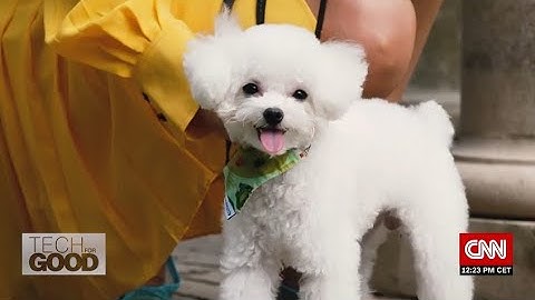 Tech For Good: Designing robots that can train themselves