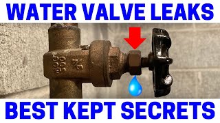 Leaky Water Valve  Easy Fix!