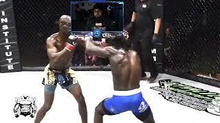 Baby Hulk Fighting in a Octagon Championship Fight Reaction *Crazy*