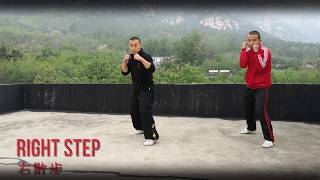 Sanda - Step and Slide