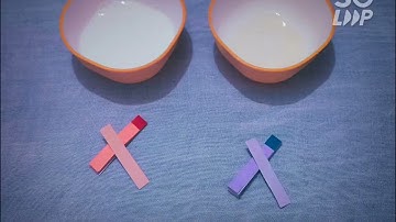 Litmus Paper Test with the LEMON JUICE/ EXTRACT and SOAP SOLUTION.....