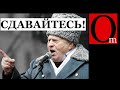 В Кремле разливают по бокалам боярышник - "Мы подебилы - Зеленский капитулировал, Байден наш!"