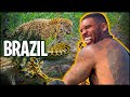 Searching for the jaguars in brazil  the real tarzann