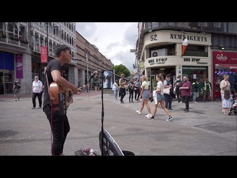 Video: Forskellen Mellem Busk Og Busk