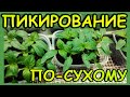 ПИКИРОВАНИЕ ПО-СУХОМУ!ПЕРЕЦ БОЛГАРСКИЙ!НИКАКОЙ ГРЯЗИ!