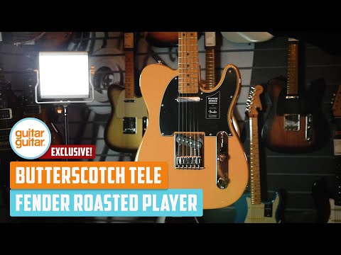 Fender guitarguitar Exclusive Roasted Player Telecaster Butterscotch Blonde Roasted Maple Neck/Fingerboard with Custom Shop Pickups