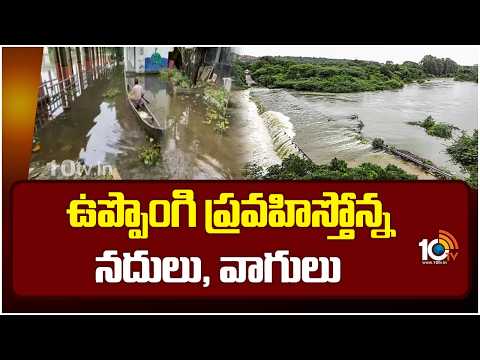 Rivers Overflowing Due To Heavy Rains | ఉప్పొంగి ప్రవహిస్తోన్న నదులు, వాగులు | 10TV News - 10TVNEWSTELUGU