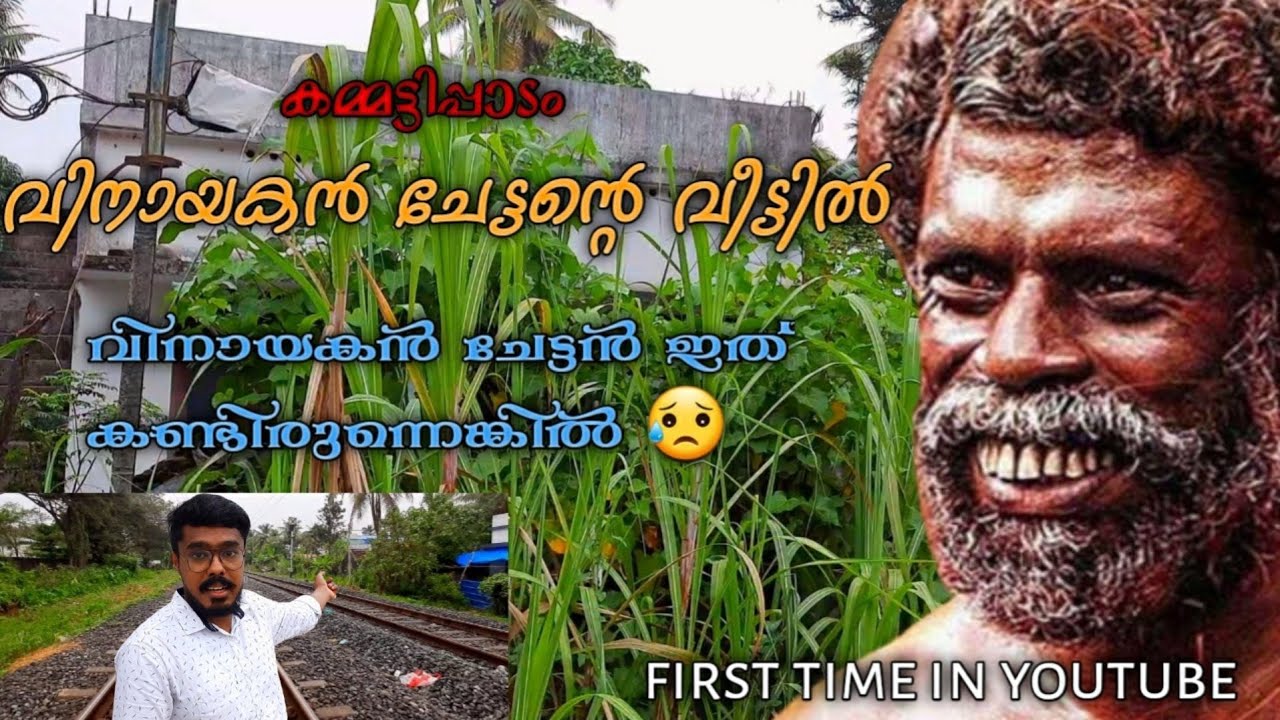 VINAYAKAN HOUSE | VINAYAKAN HOME IN KAMMATTIPAADAM | vinayakan | kammattipaadam