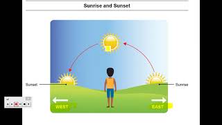 Grade 1 /Science Class/ Unit 4 Lesson 3 "Patterns during the year"