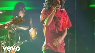 Rage Against The Machine - Bulls on Parade (from The Battle Of Mexico City)