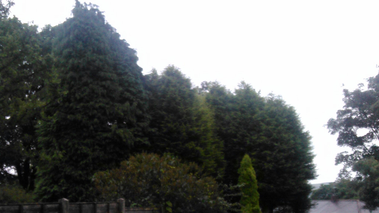 Transformers fall of cybertron: The first playing it