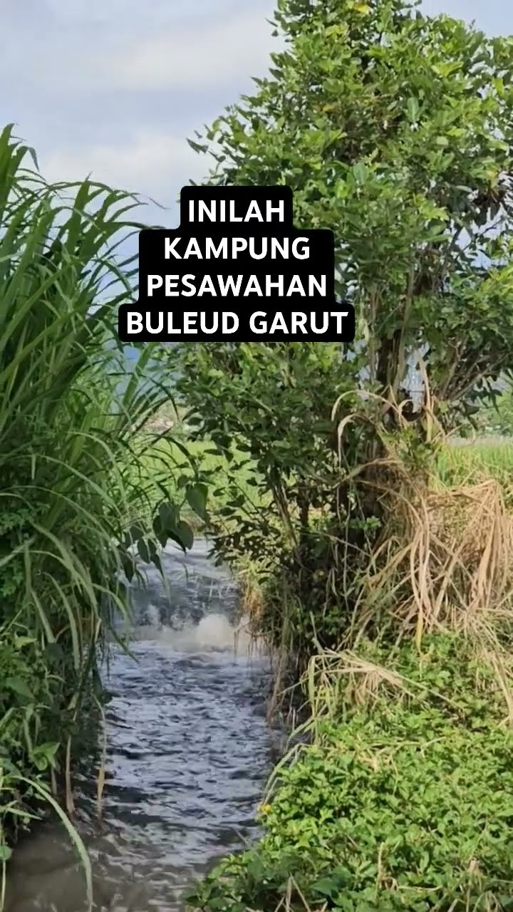 Pesawahan Dan pedesaan Buleud Garut