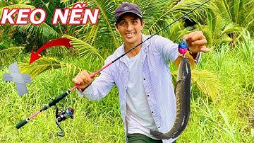 Tự Chế Mồi Giả Bằng Keo Nến Để Lure Cá Lóc Kết Quả Thật Bất Ngờ