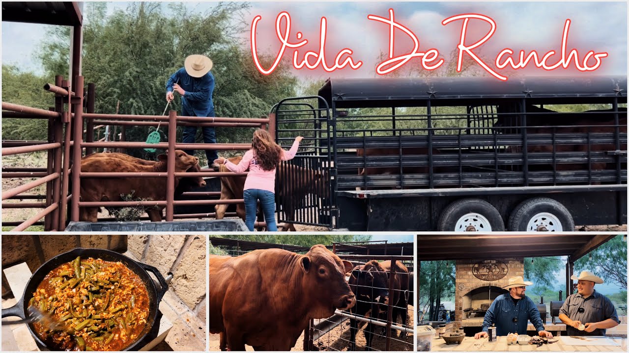 Huevos En Chile Guajillo (Nopales Y Queso Oaxaca)