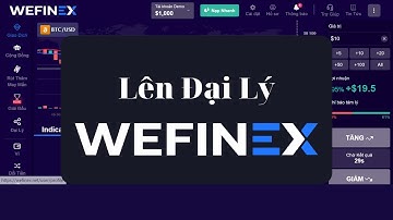 Hướng Dẫn Lên Đại Lý Wefinex - Kiếm Tiền Thụ Động Từ Internet -TrietMMO