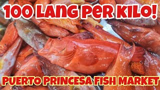 PUERTO PRINCESA FISH MARKET | Pinaka Murang Bilihan Ng Isda | 100 PER KILO
