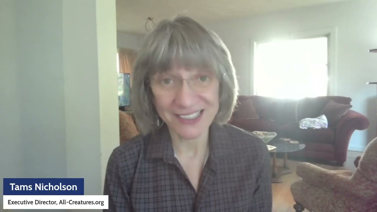 Reclaiming the World with Love