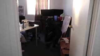 Jester This Creature Captured Me And I Escaped