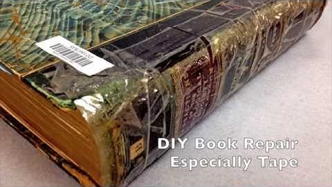 DUL Conservation Services: Identifying Damage