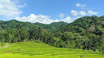 tiap hari pasti ada yg tersesat kesini TERMASUK SAYA HEHE Desa Kedawung - Kandangan Temanggung