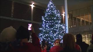 Bradford West Gwillimbury Tree Lighting 2016