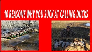 10 reasons why you might suck at calling ducks
