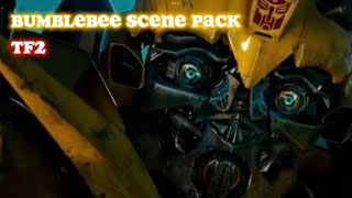 Bumblebee Scene Packrotf