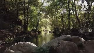youtube music music downloader song mp3 download  mp3 music download play music free music