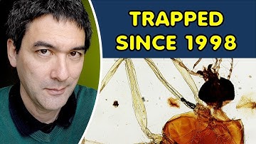 How to make Microscope Slides that last forever