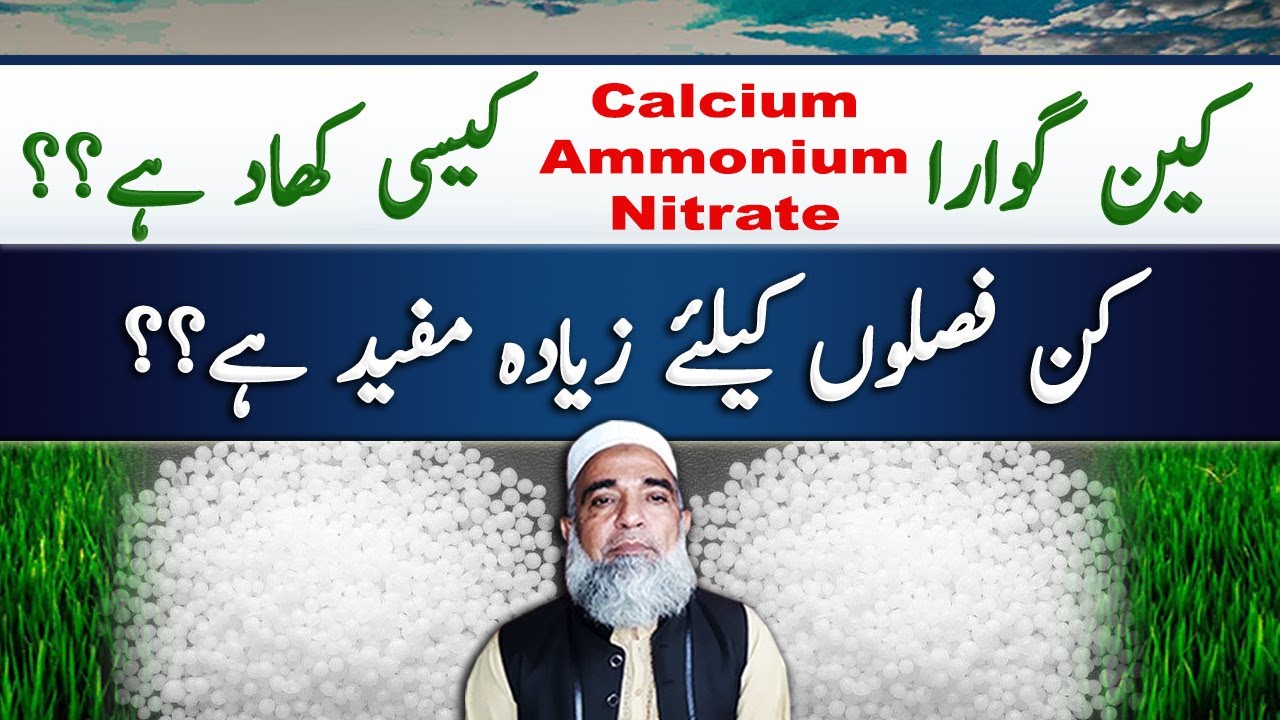 What is Calcium Ammonium Nitrate (CAN) fertilizer || Crop Reformer