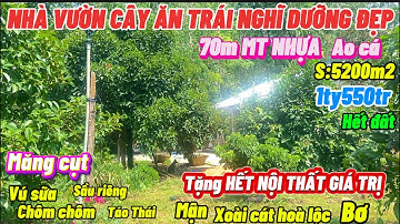 Đã bán❤️Nhà vườn cây ăn trái măng cụt đang thu hoạch,ao cá MT Nhựa tặng Nội thất5200m2 1ty550tr