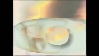 WOFL Station ID (1995)