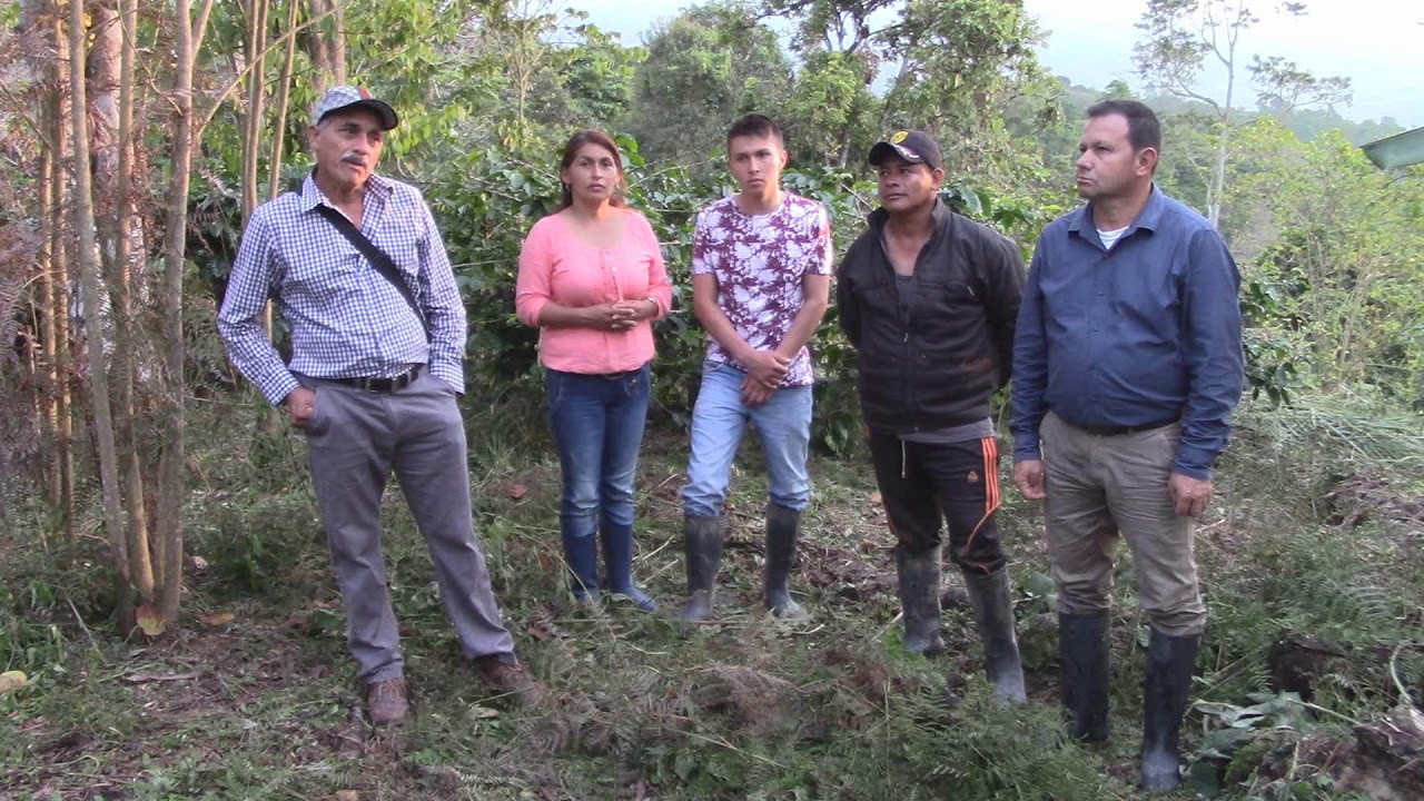 ASOCIACIÓN AGROPECUARIA AGROISLA en municipio de VILLA RICA TOLIMA