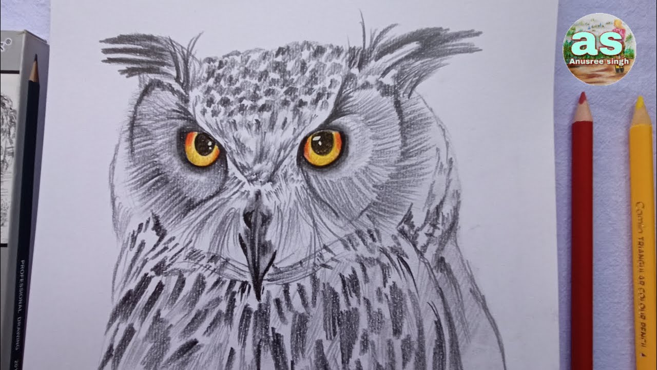 Owl eye drawing. How to draw owl eye with pencils. YouTube